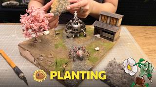 Planting the Diorama Live