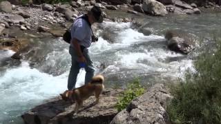 By The River ~ Bob Seger &amp; The Silver Bullet Band