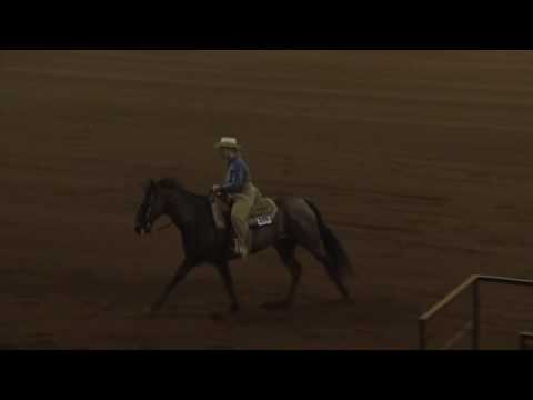 170520 Barbara Brookishire on BH Whizin Ona Melody Rookie