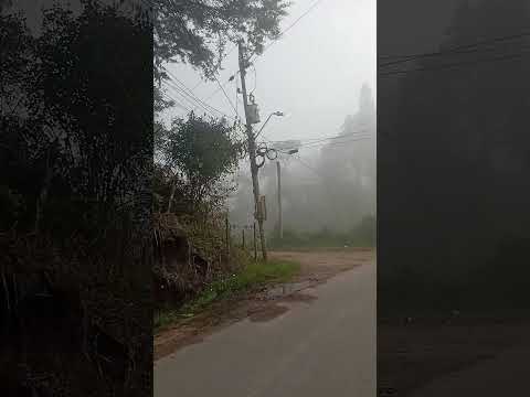 vereda las hojas. san visente - Antioquia.