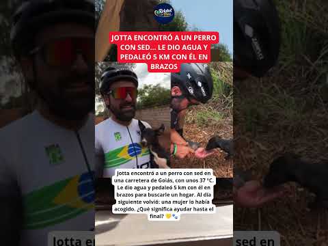 Jotta no podía quedarse con el perro, pero no lo dejó allí