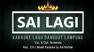 Download lagu Sai Lagi Karaoke No Vocal Lagu Dangdut Lung Voc Ci... mp3