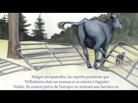 Wilhelmina va errante (Francais) bande annonce officiale