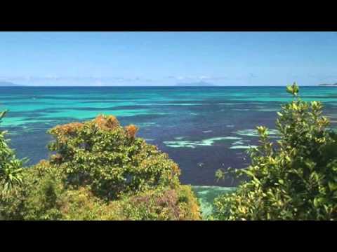 Coco De Mer, Seychelles - Destinology