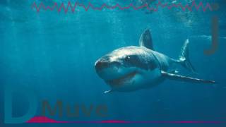 Jose Guapo   Take No Loss ft Take No Loss