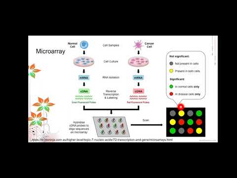 Gene Expression Analysis part 1