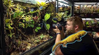 125+ REPTILES in ONE room! Reptile room tour July 2025