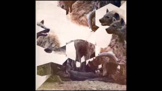 Hyenah - The Wish Dub [Freerange]