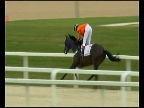 Németh Ferenc EK IV. futam HP 1600m