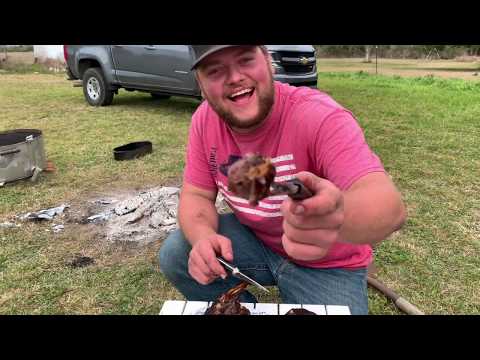 Raccoon Catch Clean and COOK