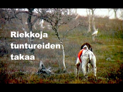 Riekkoja tuntureiden takaa, eräelokuva vuodelta 2002. Videosara.