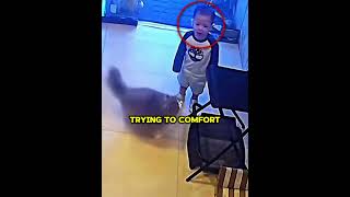 No One Expected the Cat to Do THIS 😱🐱#aestheic