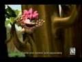 Gameplay video of Tomba! 2: The Evil Swine Return  PC