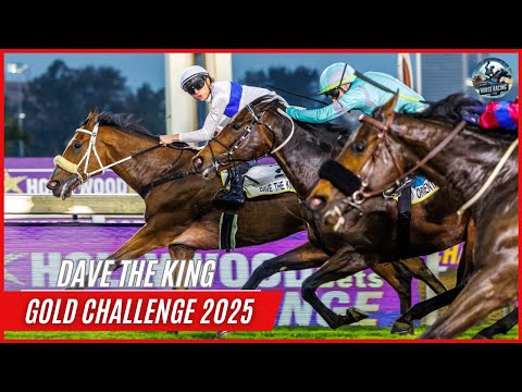 DAVE THE KING wins the G1 Hollywoodbets Gold Challenge