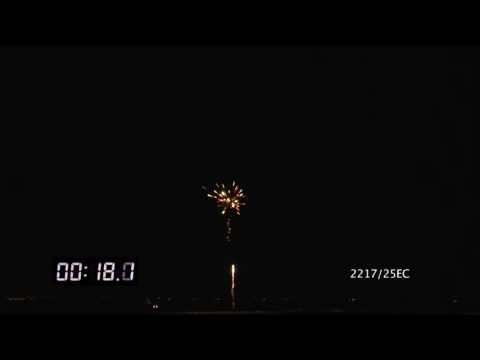 2217/25EC Cake Ø20mm 25s I-shape 34sec H23m "Metallic Crocodile"