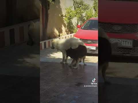 ١٩ أكتوبر ٢٠٢٢