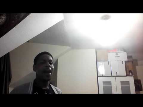 Drunken Tribute to Brandy Norwood