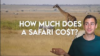 How Much Does a Safari Cost in 2023?