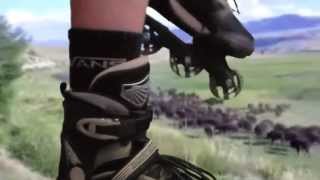 You Can&#39;t Roller Skate In A Buffalo Herd Homemade Music Video