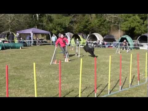 7.4.13 Münchweiler, Uwe mit Viva A1