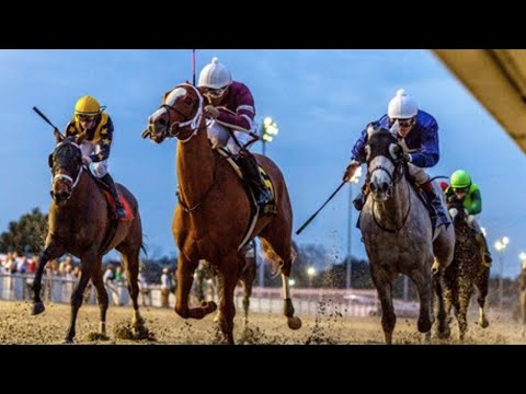 2020 Silverbulletday Stakes