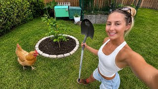 Renovating My Backyard (But I Have Bad News...)