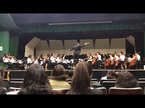 Homestead Festival 2018: Hopkins IO - Terra Nova