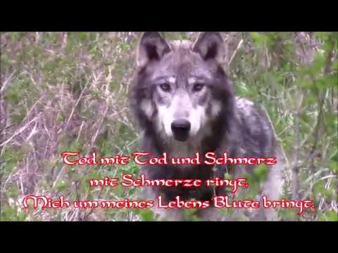 Forseti - Wolfszeit + Text + English translation