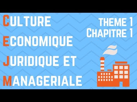 CEJM - Th1 Chap1 : L'environnement économique de l'entreprise