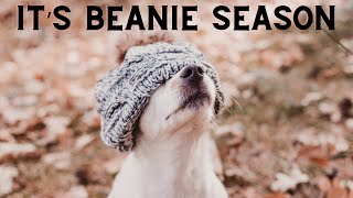 TIKTOK MADE ME BUY IT💥Best Top Coolest Beanies Amazon Must Have | How To Get Click Description