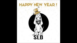 Happy New Year's 2016 from Sweet Little Bloodhound