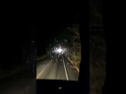 Viagem de ônibus entre as cidades de Penedo e Arapiraca, Alagoas na madrugada do dia 25/11/2024.