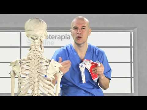 Tendinitis en el hombro