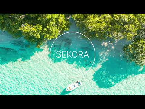 Freiboitar - Island in the Sun