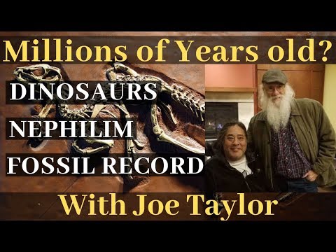 The Hidden Fossil Record - Joe Taylor