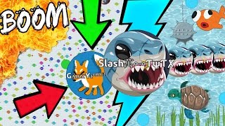 TERMINATING A BOT HACKER IN AGARIO!! INVINCIBLE POPSPLIT CHAMPION // BEST POPSPLIT MOMENTS (Agar.io)
