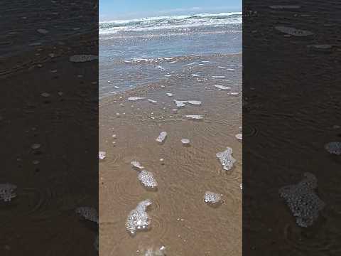 Beach or mountain? #beach #summer #water #sea #subscribe #shorts #fypシ゚viral