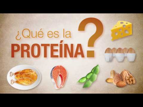 ¿Qué es la proteína?