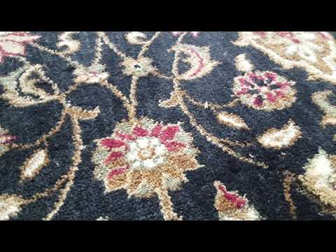 Expensive Rug Destroyed by Clothing Web Moths in Holmdel, NJ