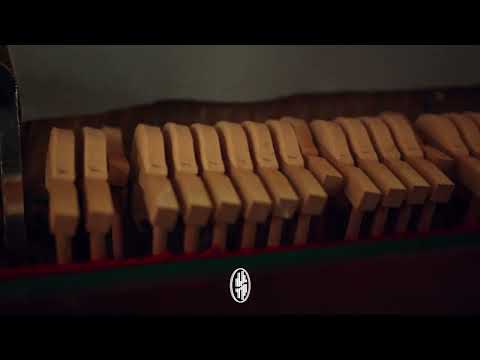 [FREE] PLK x Ben plg - Piano Sample Type Beat “Chords”