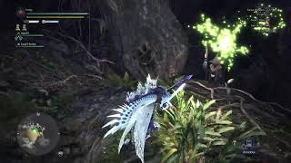 🔴 How to get Flashfly cage (Ancient Forest) Monster Hunter World Iceborn
