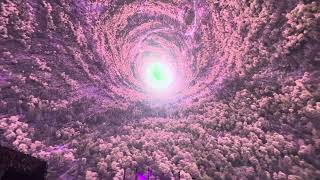 Phish - “Timber (Jerry The Mule)” - The Sphere, Las Vegas - 4/25/2026