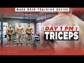 RP Mass Gain Training Series | Day 1 PM: Triceps