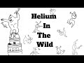 Helium In The Wild