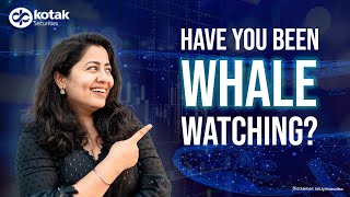 Whale Watching: How Big Investors Move the Markets