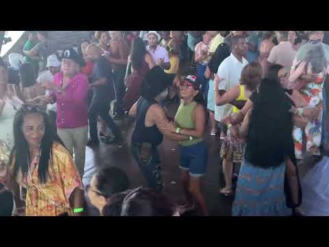 Os Colibris de ouro em Colatina Espírito Santo no Cerimonial Zoca 15/02/26