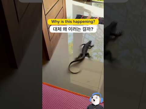 도대체 왜 이러는 걸까? | Sped Up 이야기