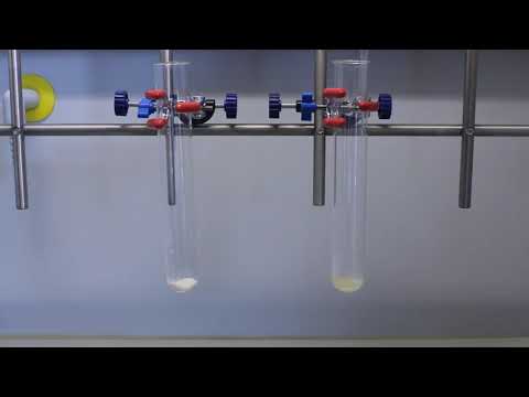 Xanthoproteinreaktion