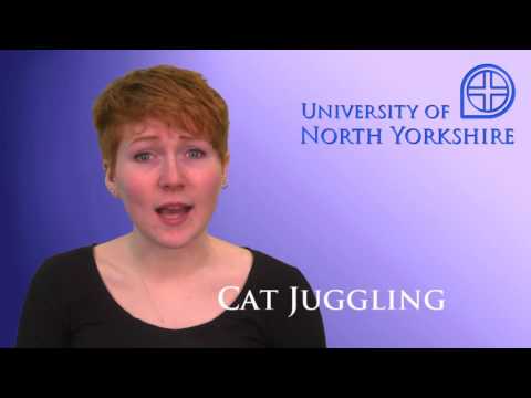 Cat Juggling