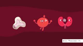 What is Leukemia - Colorado Blood Cancer Institute